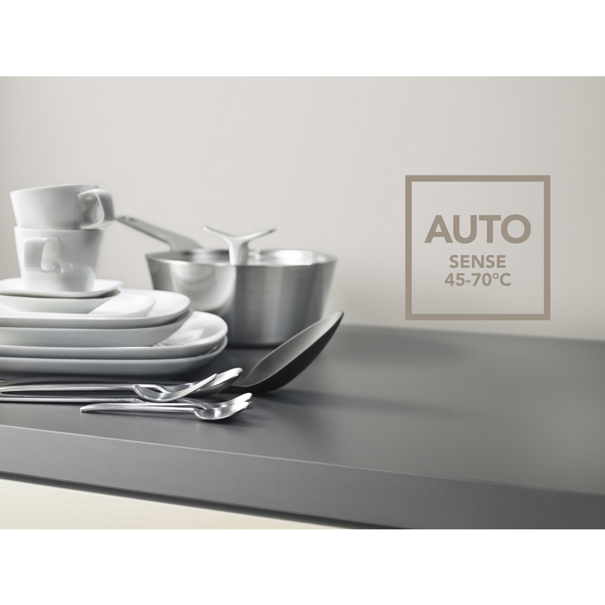 AEG - Dishwasher 60 cm - FFBM5261ZM